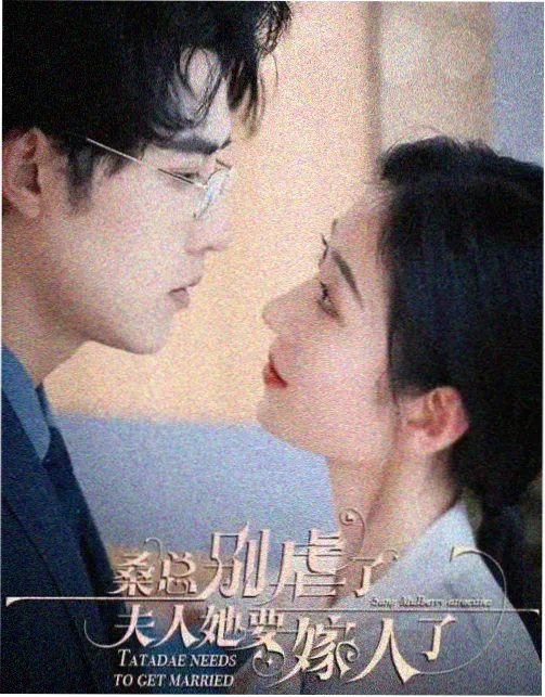 电视剧《回声标本室》海报